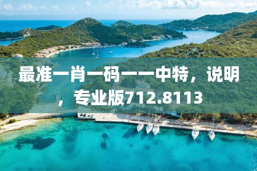 最准一肖一码一一中特，说明，专业版712.8113