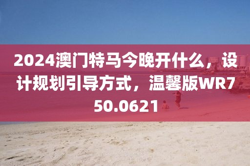 2024澳门特马今晚开什么，设计规划引导方式，温馨版WR750.0621