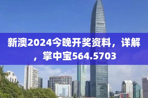 新澳2024今晚开奖资料，详解，掌中宝564.5703