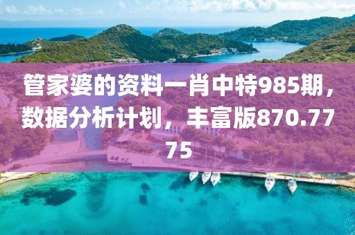 管家婆的资料一肖中特985期，数据分析计划，丰富版870.7775