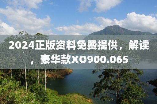 2024正版资料免费提供，解读，豪华款XO900.065