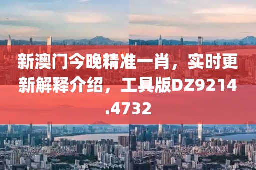 新澳门今晚精准一肖，实时更新解释介绍，工具版DZ9214.4732