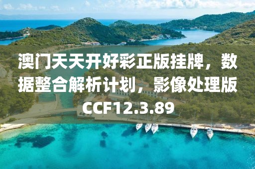 澳门天天开好彩正版挂牌，数据整合解析计划，影像处理版CCF12.3.89