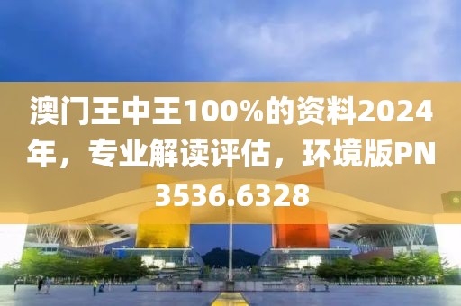 澳门王中王100%的资料2024年，专业解读评估，环境版PN3536.6328