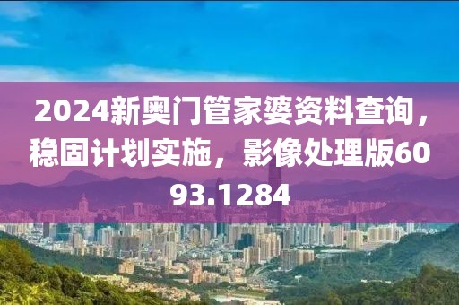 2024新奥门管家婆资料查询，稳固计划实施，影像处理版6093.1284