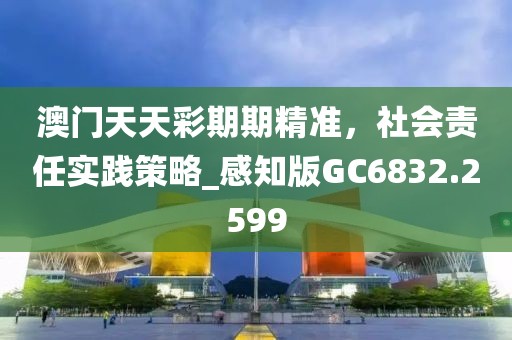 澳门天天彩期期精准，社会责任实践策略_感知版GC6832.2599