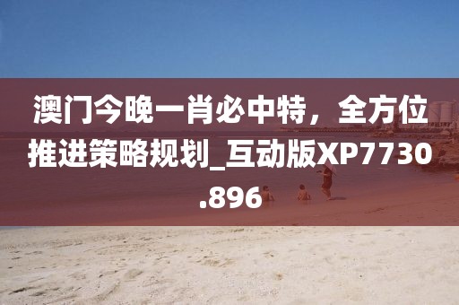 澳门今晚一肖必中特，全方位推进策略规划_互动版XP7730.896