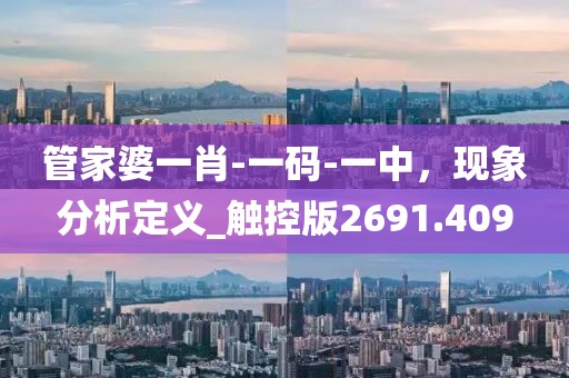 管家婆一肖-一码-一中，现象分析定义_触控版2691.409