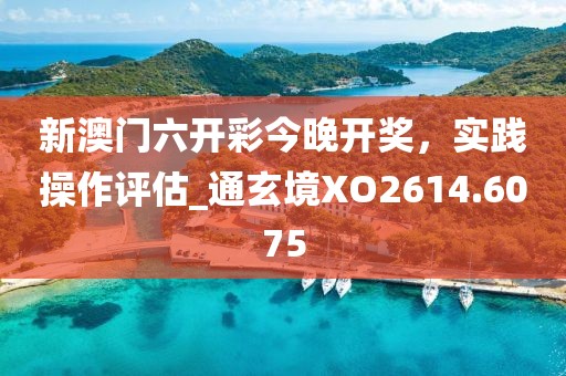 新澳门六开彩今晚开奖，实践操作评估_通玄境XO2614.6075