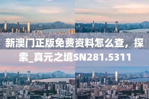 新澳门正版免费资料怎么查，探索_真元之境SN281.5311