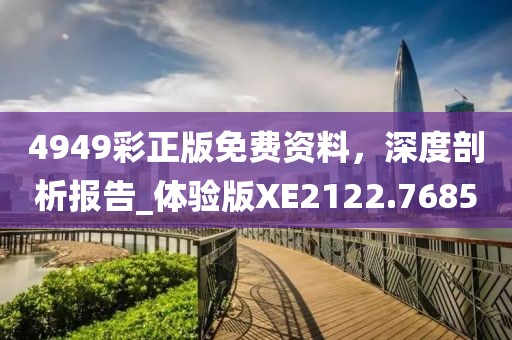 4949彩正版免费资料，深度剖析报告_体验版XE2122.7685