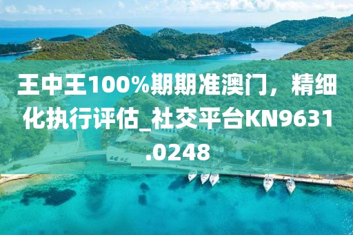 王中王100%期期准澳门，精细化执行评估_社交平台KN9631.0248