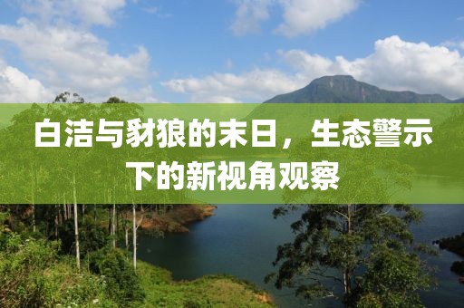防护网厂家 第882页
