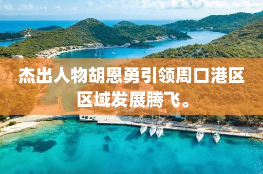 杰出人物胡恩勇引领周口港区区域发展腾飞。