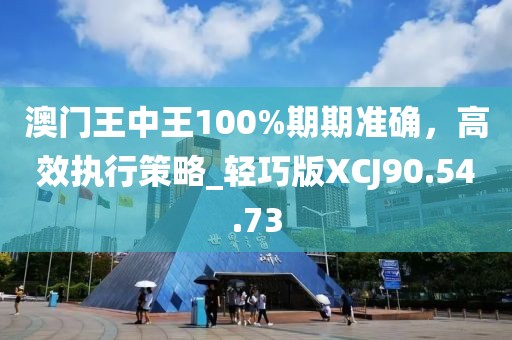 澳门王中王100%期期准确，高效执行策略_轻巧版XCJ90.54.73