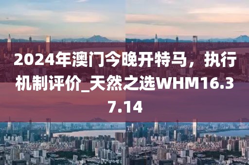2024年澳门今晚开特马，执行机制评价_天然之选WHM16.37.14