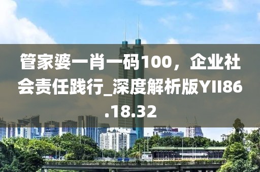 管家婆一肖一码100，企业社会责任践行_深度解析版YII86.18.32