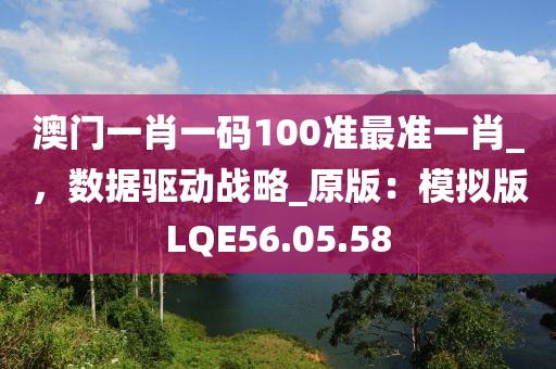 澳门一肖一码100准最准一肖_，数据驱动战略_原版：模拟版LQE56.05.58