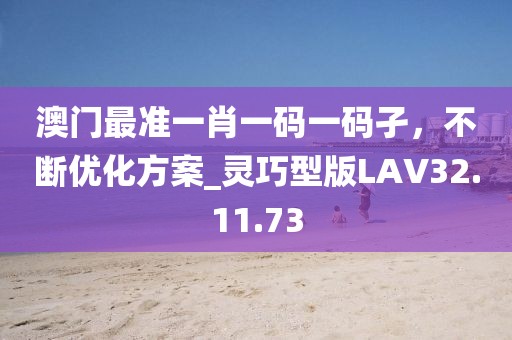 澳门最准一肖一码一码孑，不断优化方案_灵巧型版LAV32.11.73