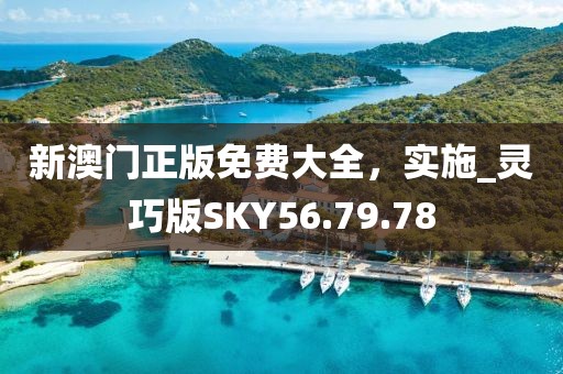 新澳门正版免费大全，实施_灵巧版SKY56.79.78