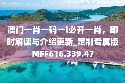 澳门一肖一码一l必开一肖，即时解读与介绍更新_定制专属版MFF616.339.47