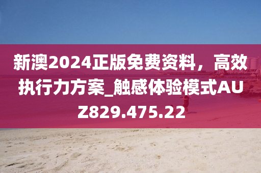 新澳2024正版免费资料，高效执行力方案_触感体验模式AUZ829.475.22