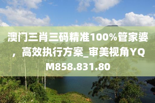 澳门三肖三码精准100%管家婆，高效执行方案_审美视角YQM858.831.80