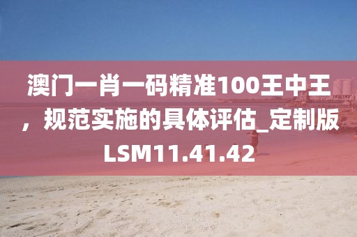澳门一肖一码精准100王中王，规范实施的具体评估_定制版LSM11.41.42