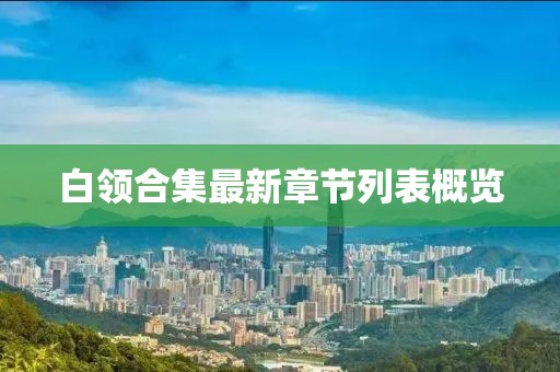 白领合集最新章节列表概览