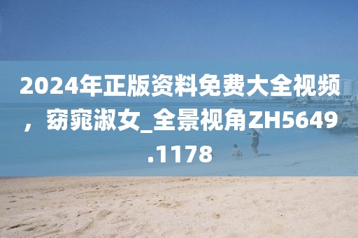 2024年正版资料免费大全视频，窈窕淑女_全景视角ZH5649.1178