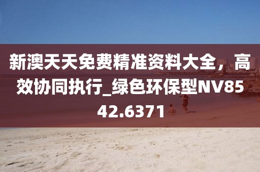 新澳天天免费精准资料大全，高效协同执行_绿色环保型NV8542.6371