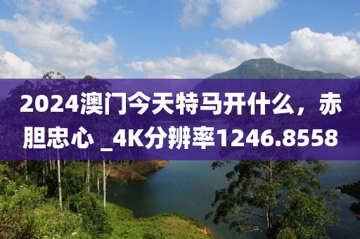 2024澳门今天特马开什么，赤胆忠心 _4K分辨率1246.8558