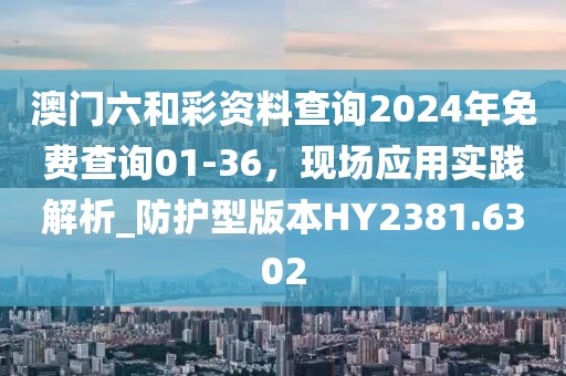 澳门六和彩资料查询2024年免费查询01-36，现场应用实践解析_防护型版本HY2381.6302
