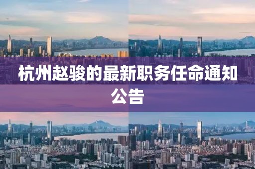 杭州赵骏的最新职务任命通知公告