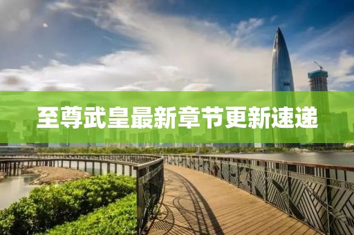 至尊武皇最新章节更新速递