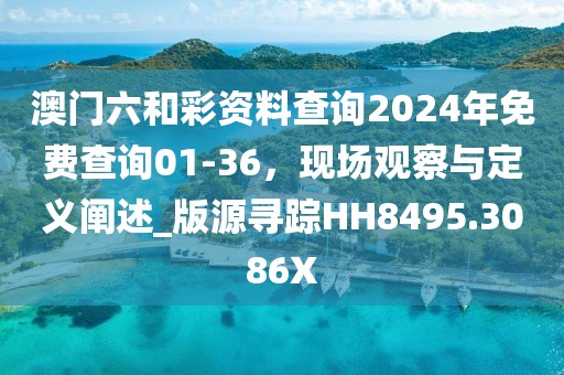 澳门六和彩资料查询2024年免费查询01-36，现场观察与定义阐述_版源寻踪HH8495.3086X