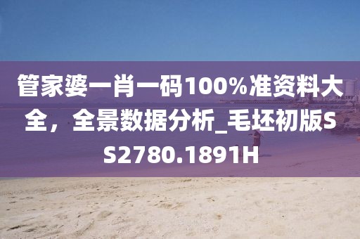 管家婆一肖一码100%准资料大全，全景数据分析_毛坯初版SS2780.1891H