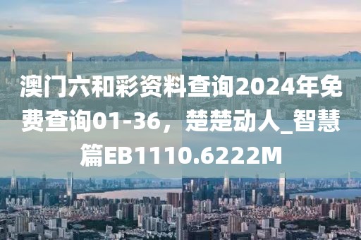 澳门六和彩资料查询2024年免费查询01-36，楚楚动人_智慧篇EB1110.6222M