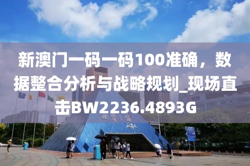 新澳门一码一码100准确，数据整合分析与战略规划_现场直击BW2236.4893G