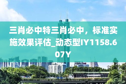 三肖必中特三肖必中，标准实施效果评估_动态型IY1158.607Y