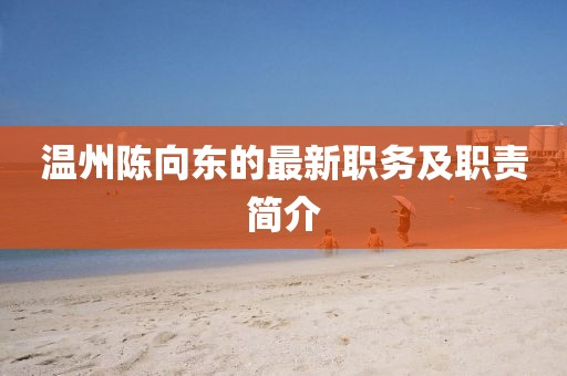 温州陈向东的最新职务及职责简介