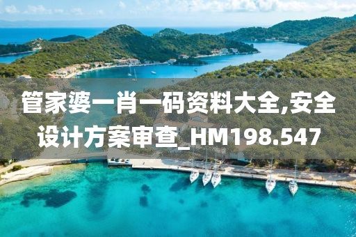管家婆一肖一码资料大全,安全设计方案审查_HM198.547