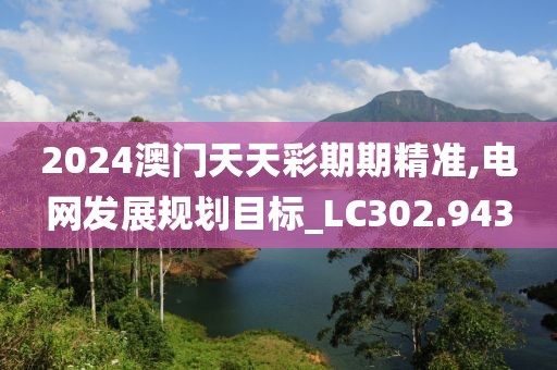 2024澳门天天彩期期精准,电网发展规划目标_LC302.943