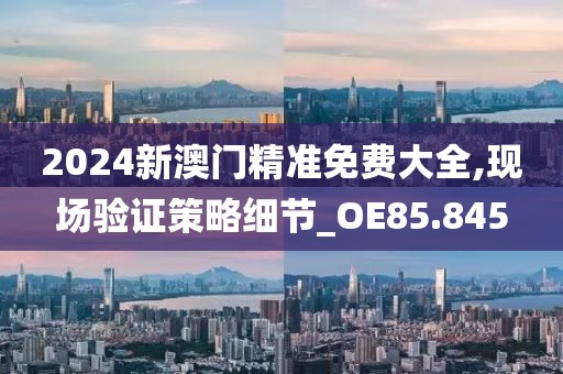 2024新澳门精准免费大全,现场验证策略细节_OE85.845