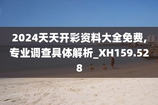 2024天天开彩资料大全免费,专业调查具体解析_XH159.528