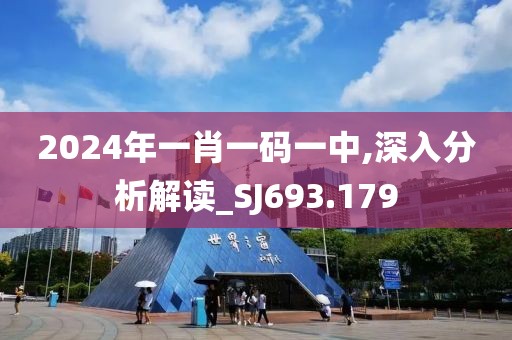 2024年一肖一码一中,深入分析解读_SJ693.179