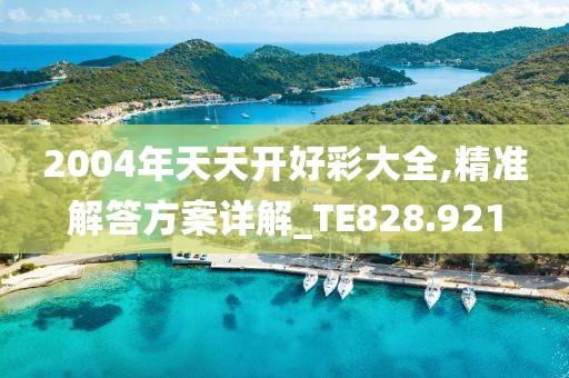 2004年天天开好彩大全,精准解答方案详解_TE828.921
