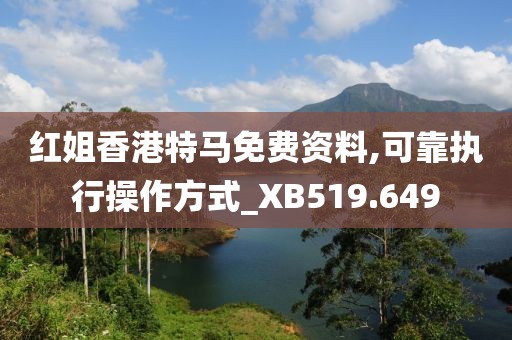 红姐香港特马免费资料,可靠执行操作方式_XB519.649