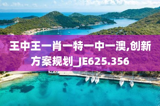 王中王一肖一特一中一澳,创新方案规划_JE625.356