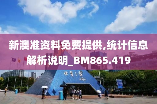 新澳准资料免费提供,统计信息解析说明_BM865.419